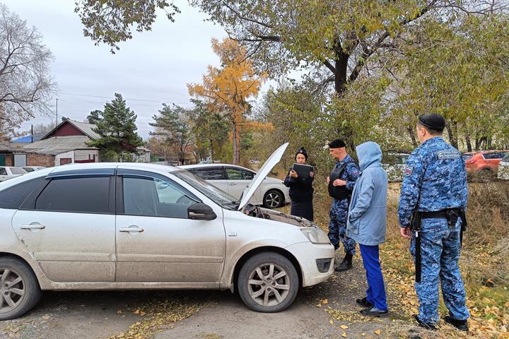 В Абакане УК заставили оплатить ремонт автомобиля, на который упал тополь 